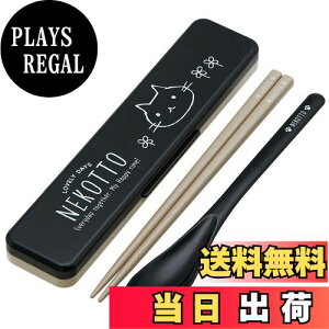 yzXP[^[(Skater)  Xv[ RrZbg 18cm RۉH ٓ lp VRNbVtŉȂȂ { ˂ CCS3SAAG