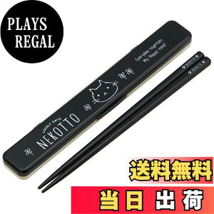 yzXP[^[ (skater)   Zbg 18cm CI Ag+ R ˂ { ABC3AG