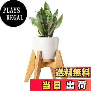 yzt[X^h Yangbaga X^h | Ƒ O  K[fjO ߉\ ő׏d30KG