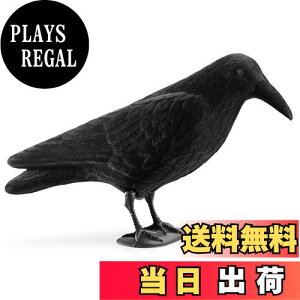 yzNavaris JX u 悯 ރObY - 悯ObY JX悯ObY Nh XY Q΍ - K[fjO C eAG