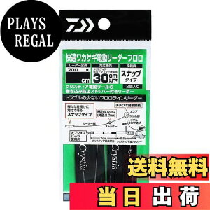 yz_C(DAIWA) NXeBA KJTMd[_[ t Xibv 40cm 0.6