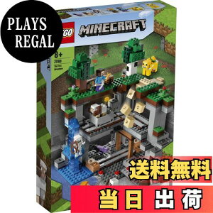 yzS(LEGO) }CNtg ŏ̖` 21169  erQ[ j̎q ̎q 8Έȏ