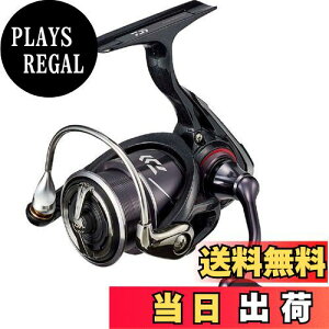 yz_C(DAIWA) XsjO[ 20 lX 2000S-P(2020f)