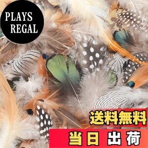 yzKingsie VR H 180Zbg 6 tFU[ H V[  EFfBO  h[Lb`[  | Xq 