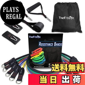 yzTheFitLife g[jO`[u `[u g[jO ؃g`[u (////)