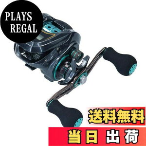 yz_C(DAIWA) LIGHT SW X IC SS L JE^[txCg[ ubNu[