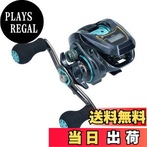 yz_C(DAIWA) LIGHT SW X IC SS R JE^[txCg[