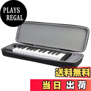 yzKORG(RO) microKEY Air-25 /microKEY-25 MIDIL[{[h Ή pی[P[X -Aenllosi