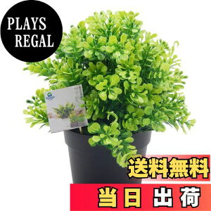 yzTOSSOW lHϗtA tFCNO[ ϗtA tFCN  ~j CeA [J