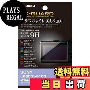 yznNo HAKUBA fW^JtیtB EX-GUARD dx9H SONY 6600/6100/6400/6000 p EXGF-SA6600