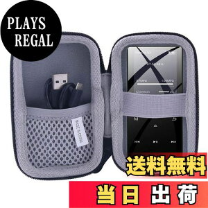 【送料無料】ソニー SONY ウォークマン NW-S315/NW-S313/NW-S13 保護対応収納ケース -waiyu JP (黒)