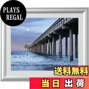 yzPR[(Kenko) A~z bN}Ch Ch6 KXpl Vo[ ALM-W6-SV