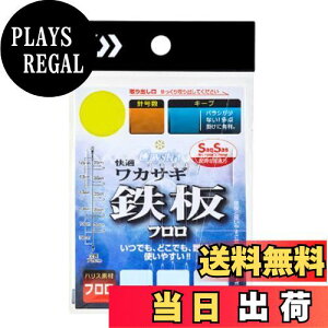 yz_C(DAIWA) NXeBA KJTMd|SS St L[v 7{ 1.0