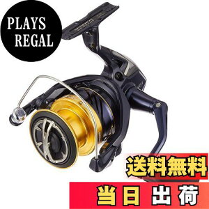 yzV}m(SHIMANO) XsjO[ 19 XtFX SW 4000XG T[t qXYL CgVAWMOELXeBO ubN