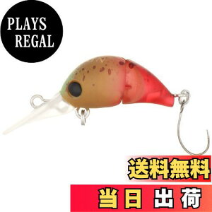 �y���������z�V�}�m(SHIMANO) ���A�[ �J�[�f�B�t ���тƂ� 25F TR-125N 012 �r�X�P�b�g