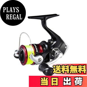 yzV}m(SHIMANO) XsjO[ 19 VGi 1000 2 100mt AW o gEg TrL