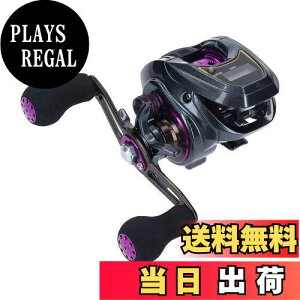 yz_C(DAIWA) LIGHT SW X IC R JE^[txCg[