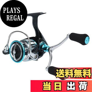 yz_C(DAIWA) XsjO[ 19 G_X LT3000S-CH-DH(2019f)