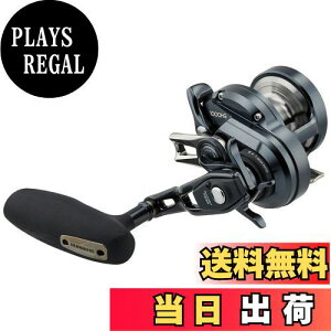 yzV}m(SHIMANO) xCg[  IVAWK[ FJX^ 1000HG(E) WMO }_C ^`EI 