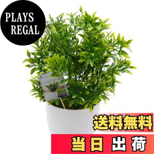 yzTOSSOW lHϗtA tFCNO[ ϗtA tFCN  ~j CeA b̂Ȃ 蕨