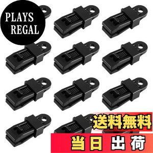 yzTRIWONDER 12 egNbv ^[vNbv egNv LvNbv AQ[^[^ Nbvz_[ v VW AEghA (ubN- 12)