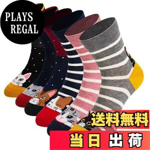 yz[Empino] C fB[X Rbg \bNX LN^[ ʕ K ʋC Xj[J[\bNX 21]25cm (A006)