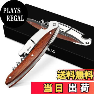 yzCORKAS \GiCt CI[vi[ RN 𔲂 v XeX ؐnh