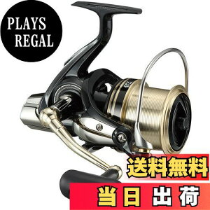 yz_C(DAIWA) XsjO[(E) 17 WINDCAST 4000(2017f)