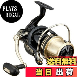 yz_C(DAIWA) XsjO[(E) 17 WINDCAST 4000QD(2017f)