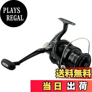 yz_C(DAIWA) XsjO[(E) 17 NXLXg 4000(2017f)