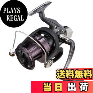 yz_C(DAIWA) XsjO[(E) 17 NXLXg 6000(2017f)