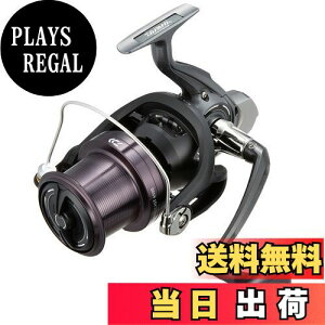 yz_C(DAIWA) XsjO[(E) 17 NXLXg 4500(2017f)