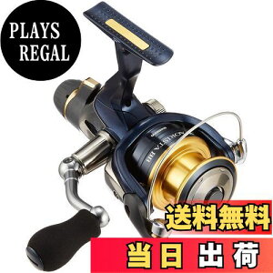 yzV}m(SHIMANO) XsjO[ 13 AIX^ BB 2500 G AICJ