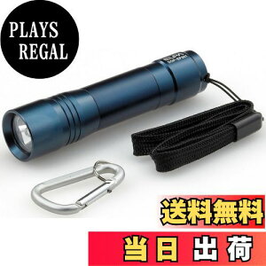 yzELPA LEDJ[nhCgP3`1{ lCr[u[ DOP-EP301(NV)