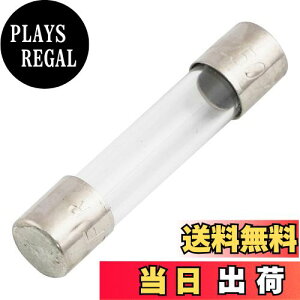 yzGp (ELPA) KXǃq[Y z q[Y 250V/0.1A 30mm 6.35 2 TF-2001H