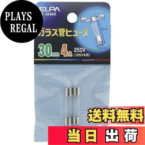 yzGp (ELPA) KXǃq[Y z q[Y 250V/4A 30mm 6.35 2 TF-2040H