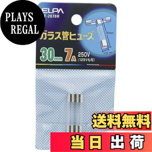 yzGp (ELPA) KXǃq[Y30MM nfB 2 30mm 250V 7A Ւfd100A 6.35 TF-2070H