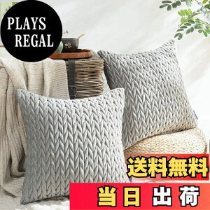 yzPhantoscope NbVJo[ xxbgv[c k 2  e͐ LeBO \t@w   n2WAY O[ 45×45cm