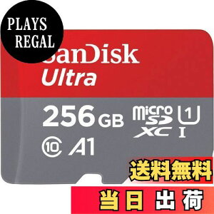 yzSanDisk SDSQUA4-256G-GN6MN COe[ A_v^[