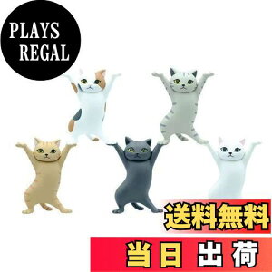 yzMRZJ JKRLyz_[lR̃y S5Zbggyz_[ (5PCS)