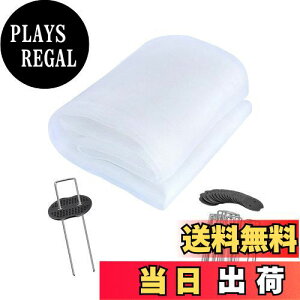 yzhlbg lbg |G` 3m×c10m Q̐Nh |؍͔|lbg hlbg ۉ h ʂ ƒ؉   |  zCg