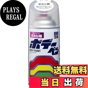 yz\tg99(SOFT99) 99H[ CyCg {f[y {JV 300ml ԃ{fBAop[AA؍ 08004