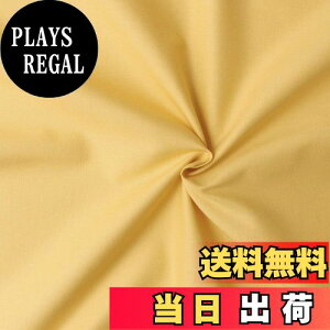 yz{Rtf(Nippon Chuko) GCeBXNGA n n 100% V[eBO Cg}X^[h Fn Ж108cm×50cmؔJbg KD4630-168-50CM