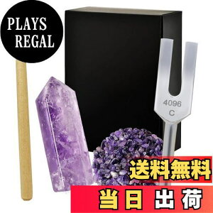 yzNX^`[i[ 4096Hz  VR 򉻗p 5_Zbg bNX {t AWXg WH26 - Purple