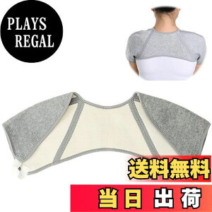 yz[RICISUNG] pT|[^[ p ̕ی EH[}[ \tg₦h~  ۉ [΍ iO[j