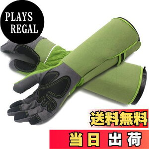 yzTARATI K[fjO K[fO[u vtFbVi T{e [Y o̎  KÑgQ [YO[u ϖ O Ǝ |p 