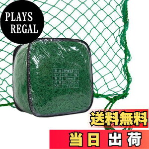 【送料無料】Gulfmore PP養生ネット 防風ネット 5x5m バードネット 多目的 園芸ネット 防鳥・防獣ネット 万能グリーンネット 果樹守りネット 鳥から田畑や果樹を守る アニマルネット