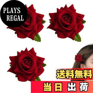 yzDoyime ỏԁy3{ZbgzKNt[RT[W Ԕ 傫ȉԂ̃u[` ԉ wbhhX   uC_ wbhhX _[Nbh