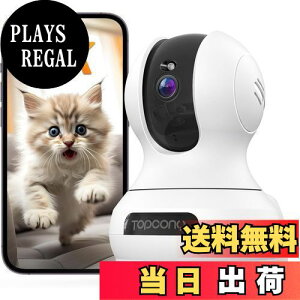 yzy4K 800ōfE2.45GhzWiFiΉEǔzybgJ J hƃJ  360°Ď 24Ԙ^ X}zŌ u PTZp355°`g120° ԊO