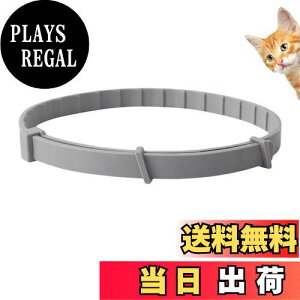 yzItisyou ybg悯 L m~ ybg̒ m~    38cm